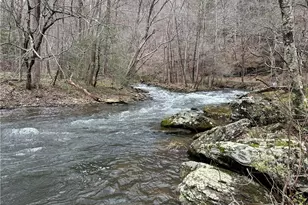 3199 Kibler Valley Rd, Ararat, VA 24053 - Photo 4