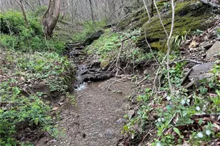 3199 Kibler Valley Rd, Ararat, VA 24053 - Photo 10