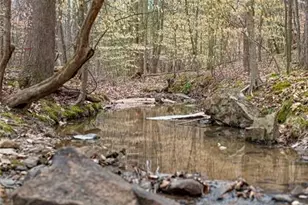 8717 Allison Rd, Cedar Grove, NC 27231 - Photo 42