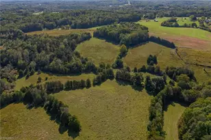 1520 Brims Grove Rd, Pinnacle, NC 27043 - Photo 44