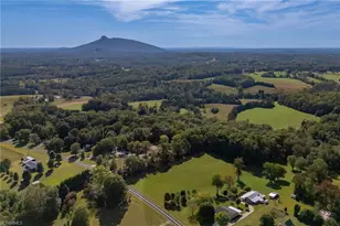 1520 Brims Grove Rd, Pinnacle, NC 27043 - Photo 4