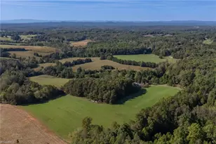 1520 Brims Grove Rd, Pinnacle, NC 27043 - Photo 42