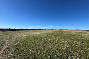 446 Grover Simmons Rd, Dobson, NC 27017 - Photo 10