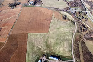 446 Grover Simmons Rd, Dobson, NC 27017 - Photo 48