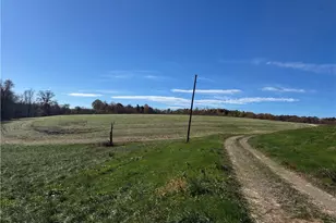 446 Grover Simmons Rd, Dobson, NC 27017 - Photo 26