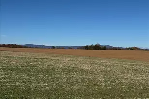 446 Grover Simmons Rd, Dobson, NC 27017 - Photo 8