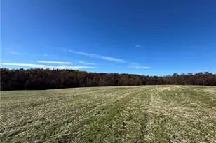 446 Grover Simmons Rd, Dobson, NC 27017 - Photo 30