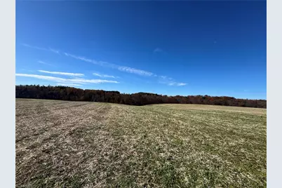 446 Grover Simmons Road, Dobson, NC 27017 - Photo 34