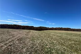 446 Grover Simmons Rd, Dobson, NC 27017 - Photo 34