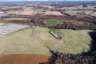 446 Grover Simmons Rd, Dobson, NC 27017 - Photo 40