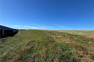 446 Grover Simmons Rd, Dobson, NC 27017 - Photo 22