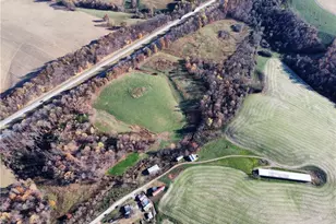 446 Grover Simmons Rd, Dobson, NC 27017 - Photo 44