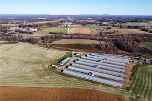 446 Grover Simmons Rd, Dobson, NC 27017 - Photo 46