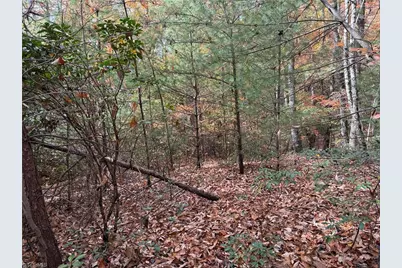 Lot 209 Casey Mountain Road, Purlear, NC 28665 - Photo 8