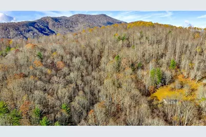 1451 Elliott Road, West Jefferson, NC 28694 - Photo 24