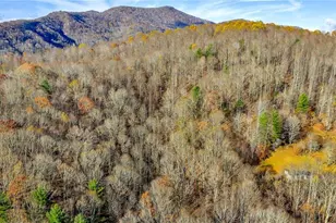 1451 Elliott Rd, West Jefferson, NC 28694 - Photo 24