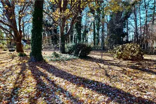 602 Main Street S, Dobson, NC 27017 - Photo 6