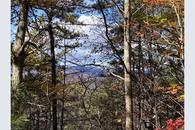 Lot 96 Buck Mountain Road, Purlear, NC 28665 - Photo 2