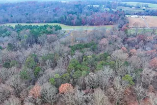 1984 Austin Little Mountain Rd, Ronda, NC 28670 - Photo 26