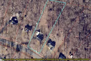 2497 Adams Farm Ct, Snow Camp, NC 27349 - Photo 46