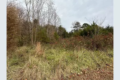 4832 Vienna Dozier Road, Pfafftown, NC 27040 - Photo 38