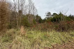 4832 Vienna Dozier Rd, Pfafftown, NC 27040 - Photo 38