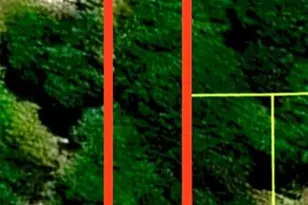 4312 Vickrey Chapel Rd N, Jamestown, NC 27282 - Photo 14