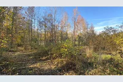 3.1 Ac +/- Long Valley Road, Greensboro, NC 27410 - Photo 12