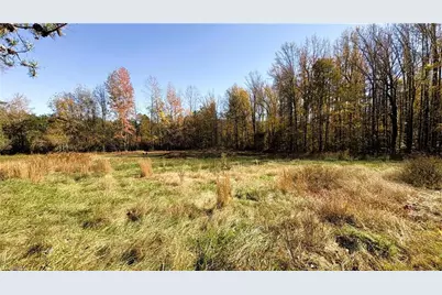 3.1 Ac +/- Long Valley Road, Greensboro, NC 27410 - Photo 8