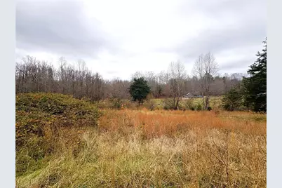 3.1 Ac +/- Long Valley Road, Greensboro, NC 27410 - Photo 22