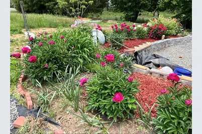 251 Palamino Trail, Dobson, NC 27017 - Photo 36