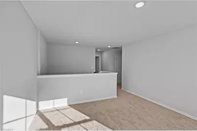 407 Pinnacle Drive, Randleman, NC 27317 - Photo 18