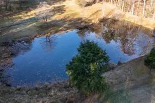 2961 Wormranch Rd, Haw River, NC 27258 - Photo 26