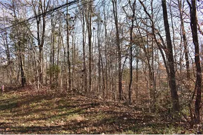 0 Young Drive #New Tract 1, Lexington, NC 27292 - Photo 1