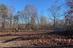 1028 Raccoon Run Ln, Jonesville, NC 28642 - Photo 1