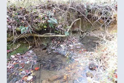 00 Billings Hill Church Road, Traphill, NC 28685 - Photo 16