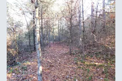 00 Billings Hill Church Road, Traphill, NC 28685 - Photo 8