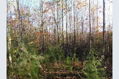 00 Billings Hill Church Road, Traphill, NC 28685 - Photo 24