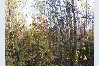 00 Billings Hill Church Road, Traphill, NC 28685 - Photo 26