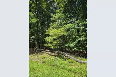 346 Palisade Trail, Denton, NC 27239 - Photo 4