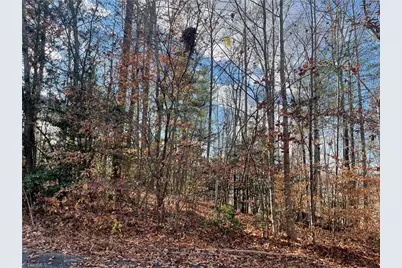 Lot 8 Hickory Ridge Road, Wilkesboro, NC 28697 - Photo 1