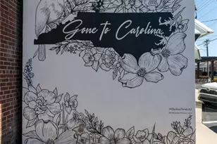 3537 Spring Hope Ct, Kernersville, NC 27284 - Photo 18