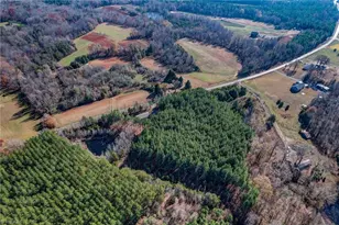 880 Perkinson Rd, Ruffin, NC 27326 - Photo 38