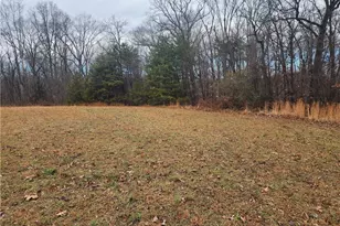 2060 Coltrane Mill Rd, Randleman, NC 27317 - Photo 44