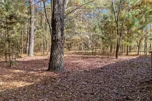 2627 McCallum Rd, Candor, NC 27229 - Photo 4