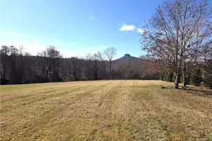 1545 Bradley Rd, Pinnacle, NC 27043 - Photo 18