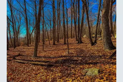 1644 Sierra Trace Road, Denton, NC 27239 - Photo 16