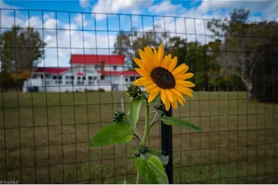 1260 Beaver Island Trail Road, Walnut Cove, NC 27052 - Photo 26