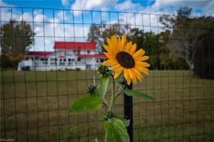 1260 Beaver Island Trail Rd, Walnut Cove, NC 27052 - Photo 26