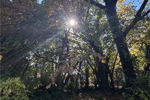 204 Bingham St, Greensboro, NC 27401 - Photo 28